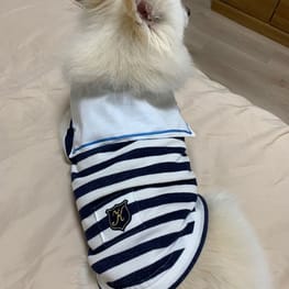 WKSchatzさんの作品