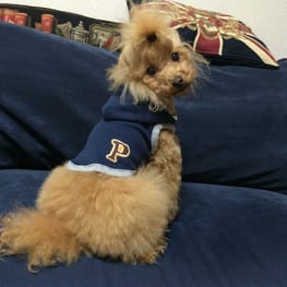 ショールカラーカーディガン