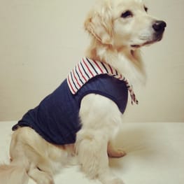 ぷーこさんの作品