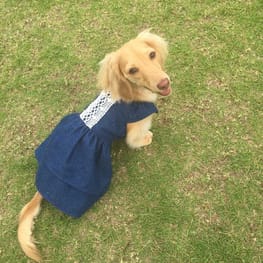 リボンワンピース