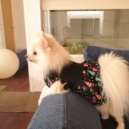 にこママさんの作品