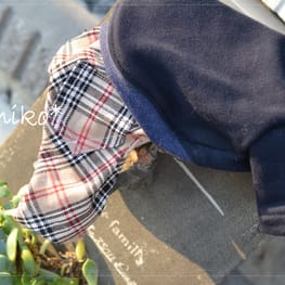 ベーシックラグランTシャツ