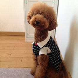 パーカー/トレーナー