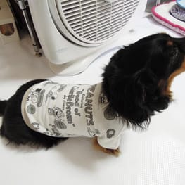 ベーシックタンクトップ&Tシャツ