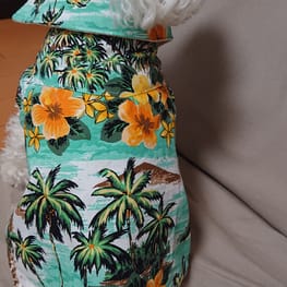 ぽんりんさんの作品