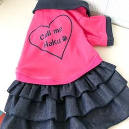 オーバーレインコート