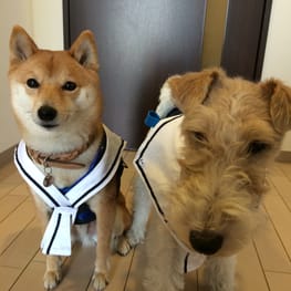 ダウンジャケット