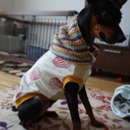 ダウンジャケット