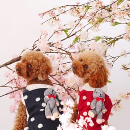 バルーンブラウス