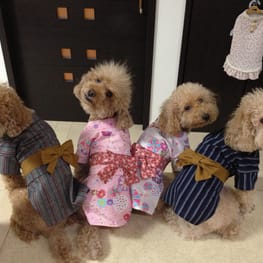 ショールカラーカーディガン