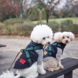 オーバーレインコート