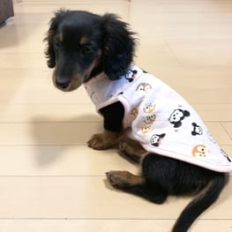 スモック/チュニック