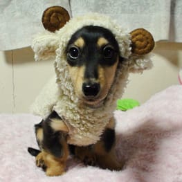 リボンワンピース