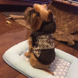 トレーナー・3Wayパーカー