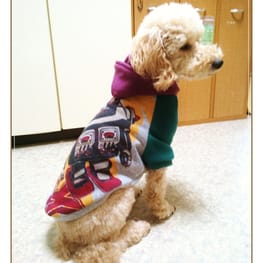 ラグランタンク・ラグランワンピ