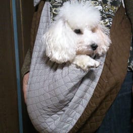 yukigesikiさんの作品