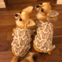 anirokitchenさんの作品