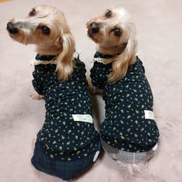 ラガーシャツ・ポロシャツ