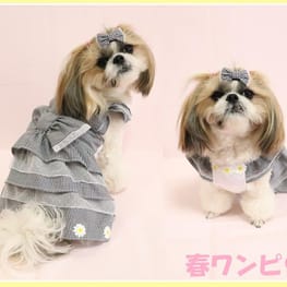 リラックスジャンプスーツ