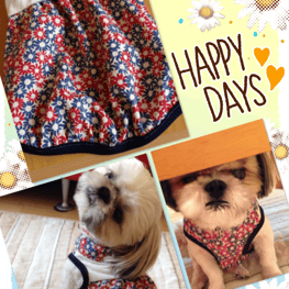 サニタリー・マナーパンツ