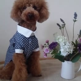 ベーシックタンクトップ&Tシャツ