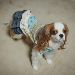 トレーナー・3Wayパーカー