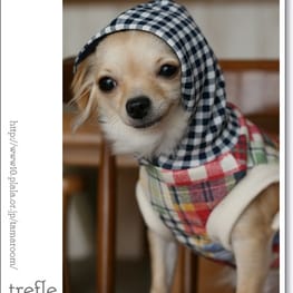 ドッグスリング