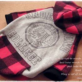 うさぎ/パンダ変身コスチューム