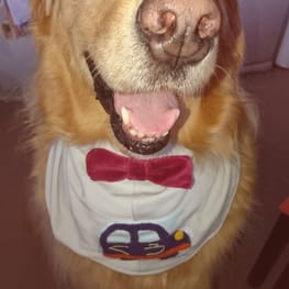 ヒーローコスチューム・男の子用