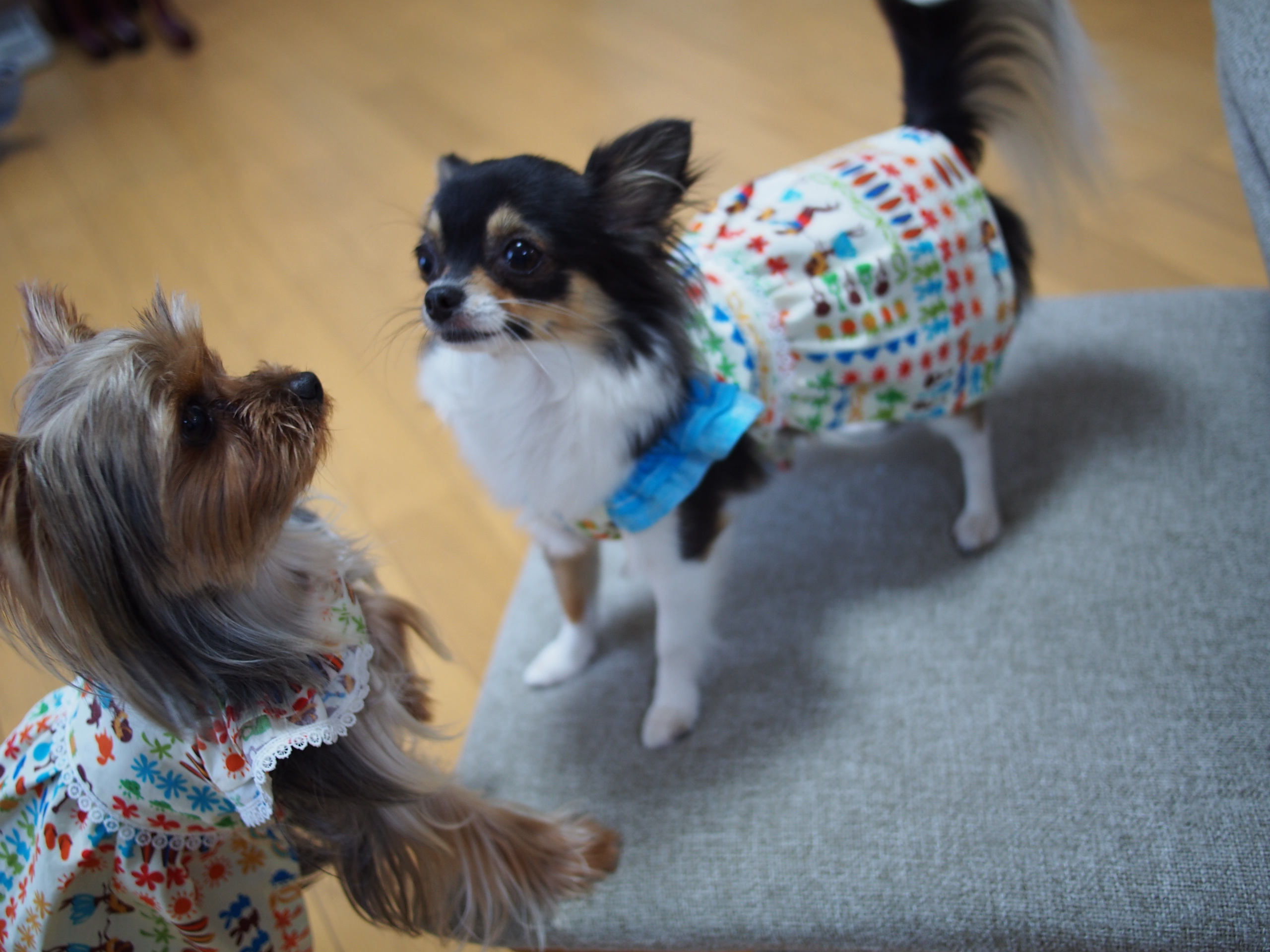 ダウンジャケット