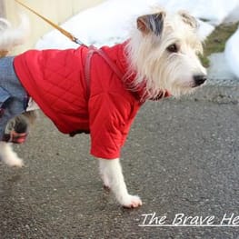 ダウンジャケット