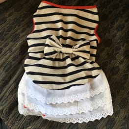 ベーシックラグランTシャツ