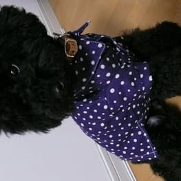 パンツ/サロペット