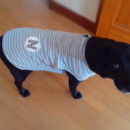 パーカー/トレーナー