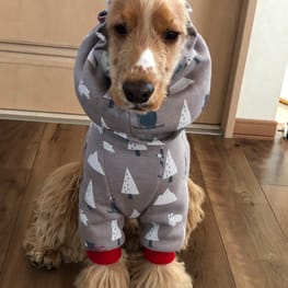 ラガーシャツ・ポロシャツ