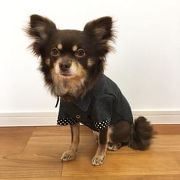 ダウンジャケット