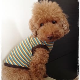 ショールカラーカーディガン