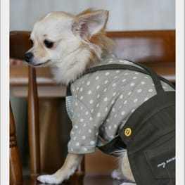 ドッグスリング