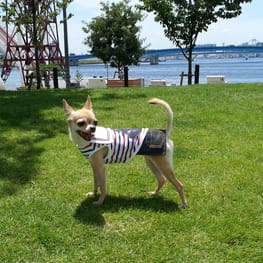 レーサーバック・バッククロスタンク