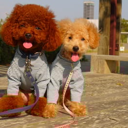 スカート/サロペット