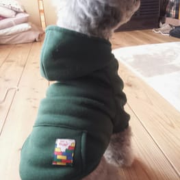 ドッグスリング