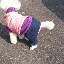 パーカー/トレーナー