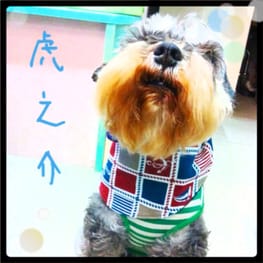 リボンワンピース