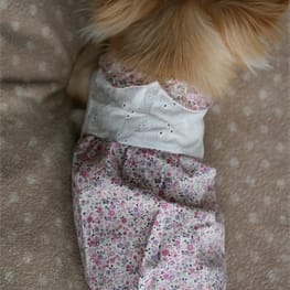 ドッグスリング