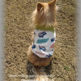 りんたんさんの作品