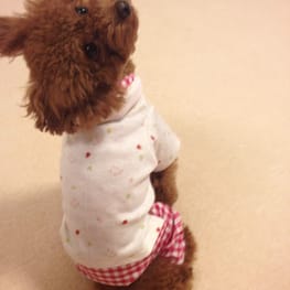 パンツ/サロペット