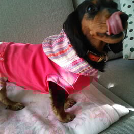 パーカー/トレーナー