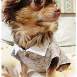 レーサーバック・バッククロスタンク