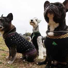 トレーナー・3Wayパーカー