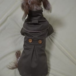 ラガーシャツ・ポロシャツ